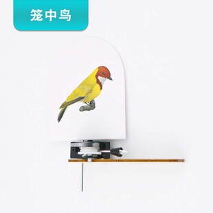 笼中鸟 科技小制作视觉停留实验 教学材料DIY 儿童趣味手工小发明