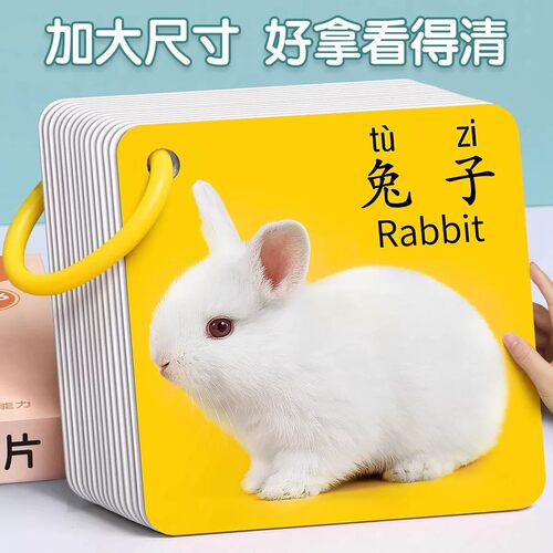 动物卡片认知早教儿童识字看图
