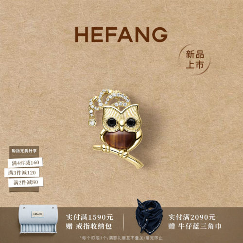 魔法猫头鹰胸针高级感轻奢胸花