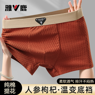 内裤 平角裤 男生四角裤 衩青少年男款 头 头纯棉抗菌透气短裤 雅鹿男士
