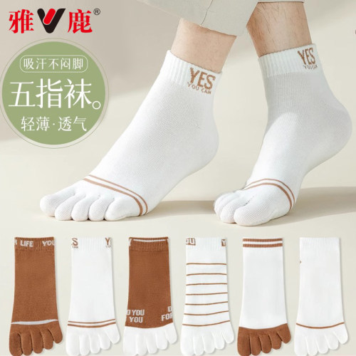 五指袜男士棉袜脚趾中筒袜分趾