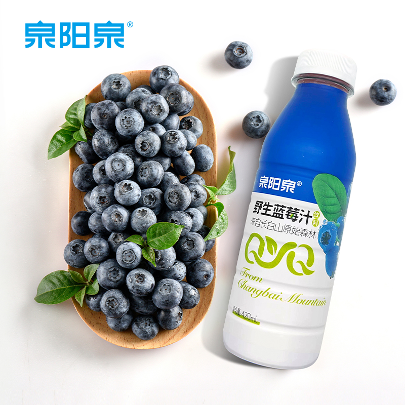 长白山野生蓝莓汁饮料