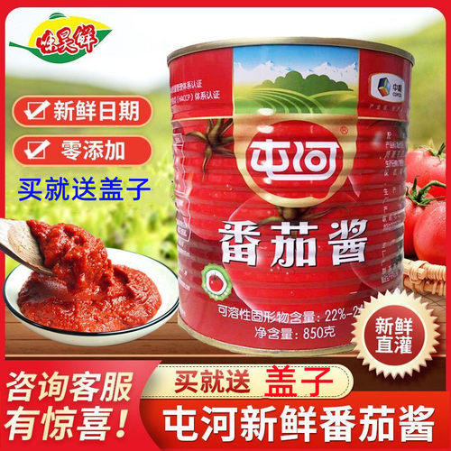 中粮屯河直灌番茄酱850g