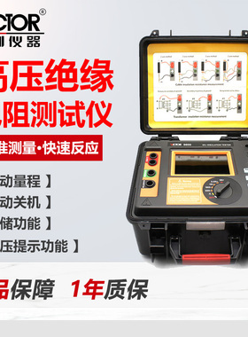 胜利VC9600B高压绝缘电阻测试仪电子摇表