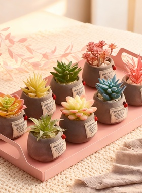 手工DIY多肉盆栽桌面摆件礼物