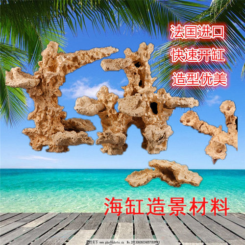 造景石珊瑚p牌进口海缸