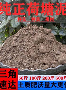 广东天然塘泥土种花种菜种植土