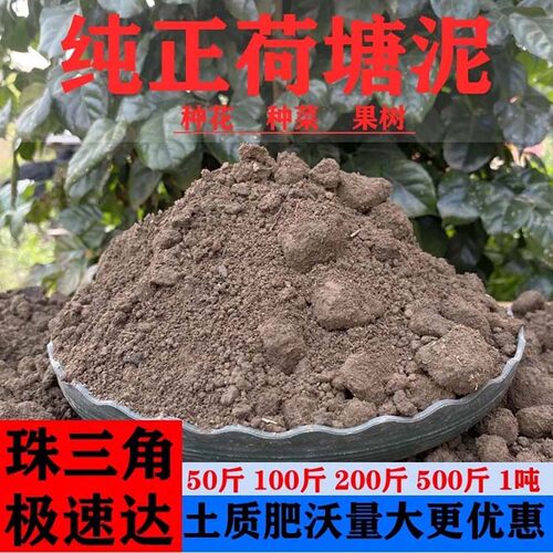 广东天然塘泥土种花种菜种植土