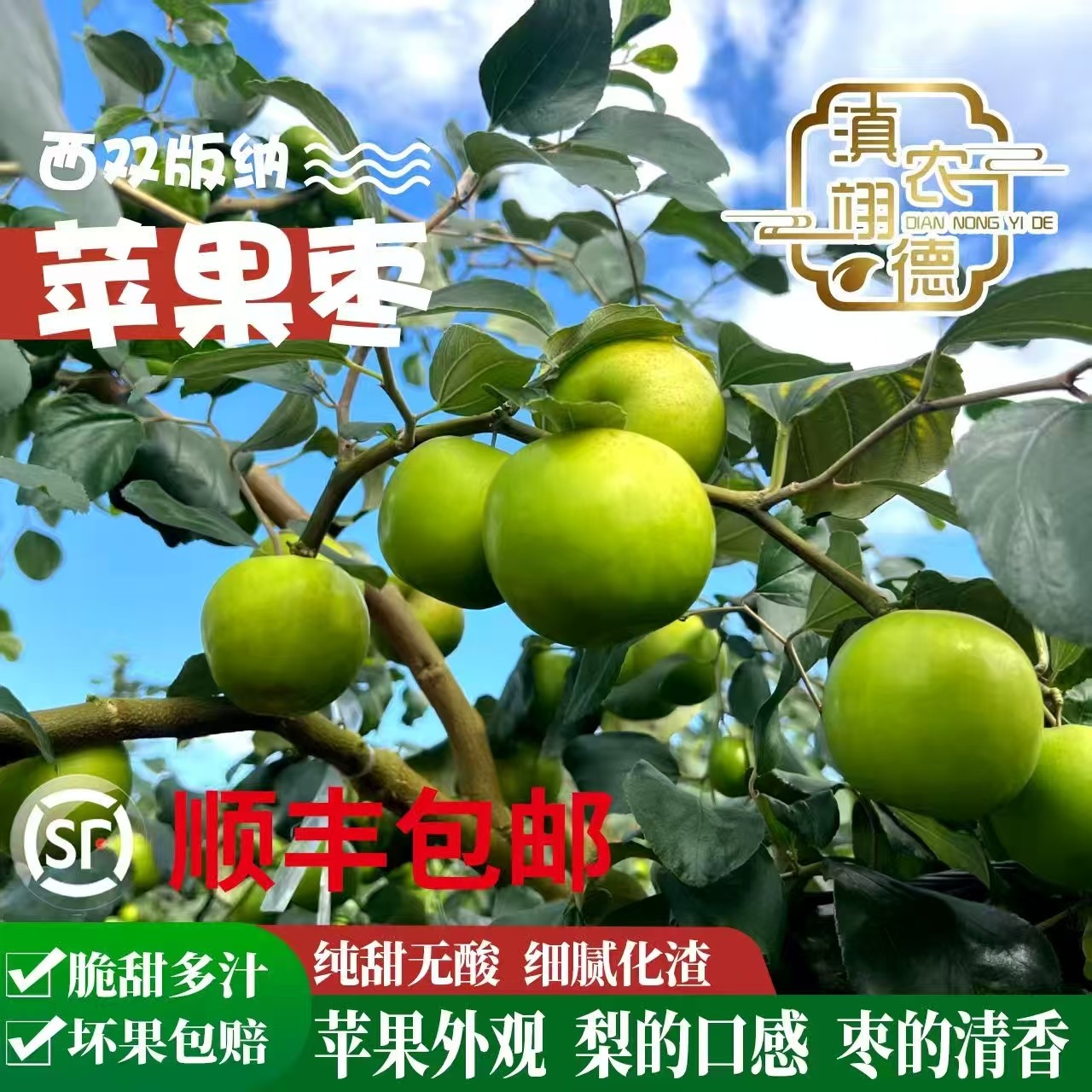 【顺丰发货】西双版纳苹果青枣新鲜采摘产地3、5斤应季水果脆甜,水产肉类/新鲜蔬果/熟食,枣,淘宝优惠券,粉丝福利购,淘宝优惠卷