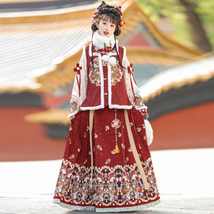 桃之夭夭原创明制汉服女中国风加厚新年拜年服比甲马面裙古装全套