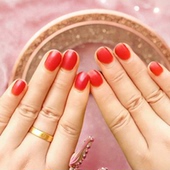 天然植物染甲凤仙花粉植物指甲花粉染指甲海娜花染红指甲