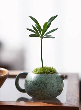 粗陶迷你铜钱草花插禅意家居桌面摆件水培绿陶创意花器陶瓷小花瓶