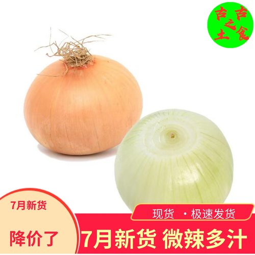 山东水果白洋葱10斤生吃偏甜网红
