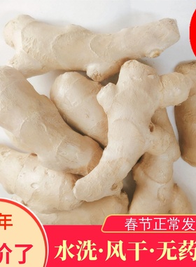 【特惠10斤】无泥山东安丘大姜生姜新鲜黄姜老姜母包邮风干小姜块