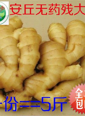 姜 生姜大姜黄姜 姜汤 月子姜 老姜 姜母安丘农家自种5斤包邮