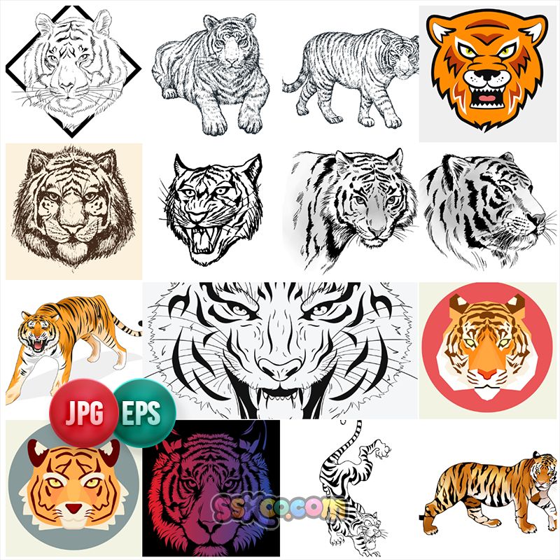 2022虎年创意手绘凶猛虎头老虎形象潮流插画印花图案矢量设计素材