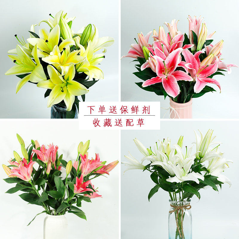 多色香水百合花云南昆明鲜花基地直发水养花包邮家用插花一扎
