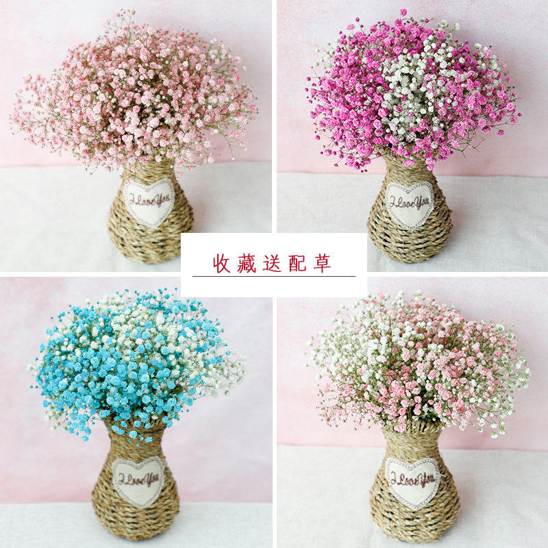 云南大束吸色满天星带永生鲜花