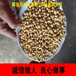富硒大山土黄豆 农家自种黄豆 老黄豆 豆浆香浓 生态五谷杂粮5斤