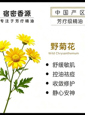 中国产区 野菊花单方纯精油敏肌适用护肤按摩清热明目 清香宜人