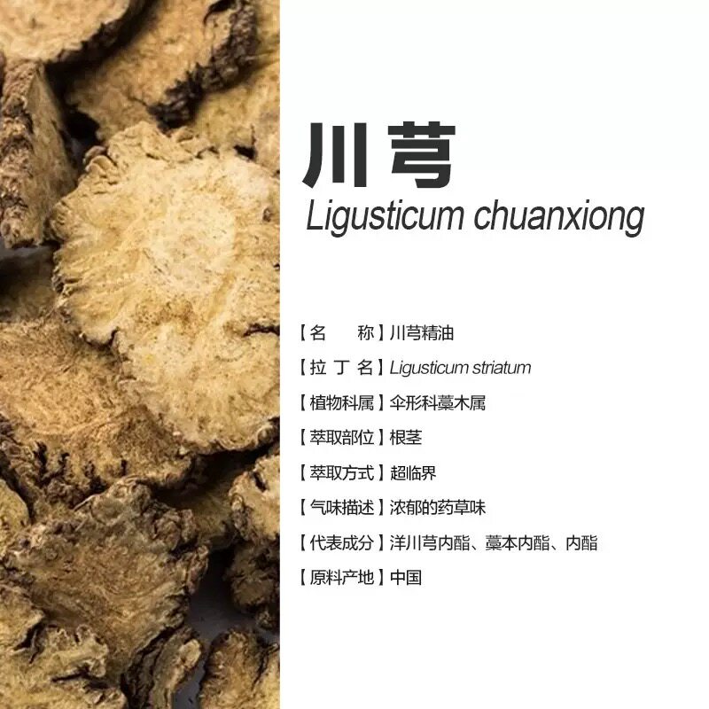 中国产川芎单方精油纯植物本草油益气掌灸全身身体按摩刮痧通经络