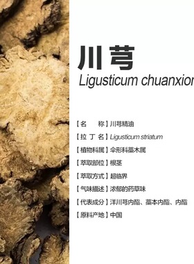 中国产川芎单方精油纯植物本草油益气掌灸全身身体按摩刮痧通经络