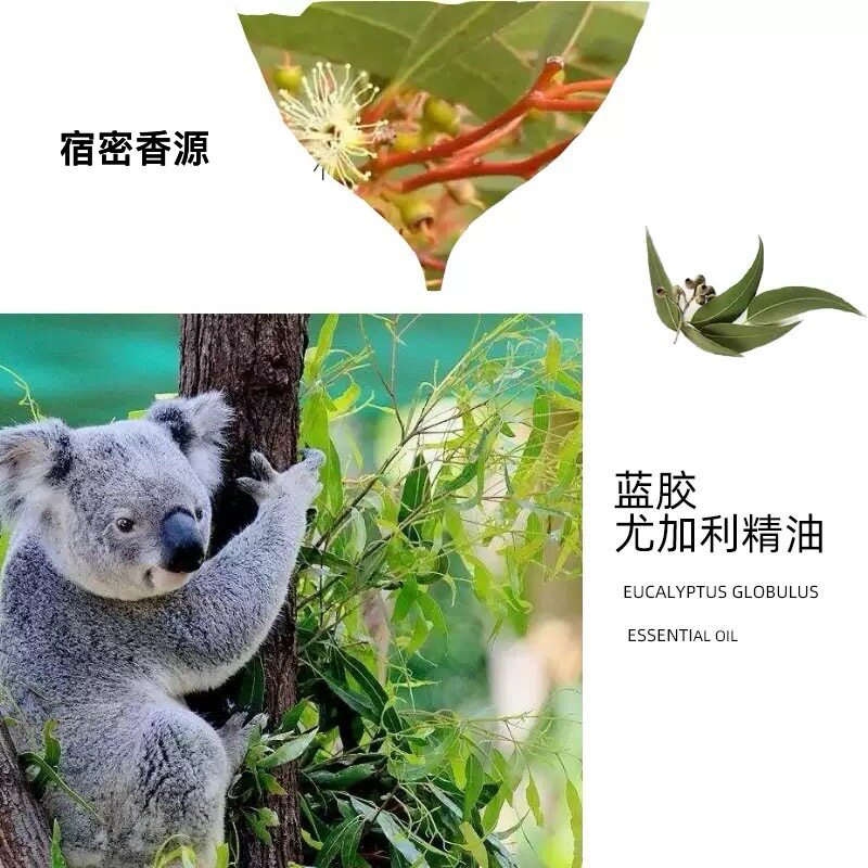 澳洲蓝胶尤加利单方纯精油 净化空气 香薰按摩 提神醒脑 缓解酸痛