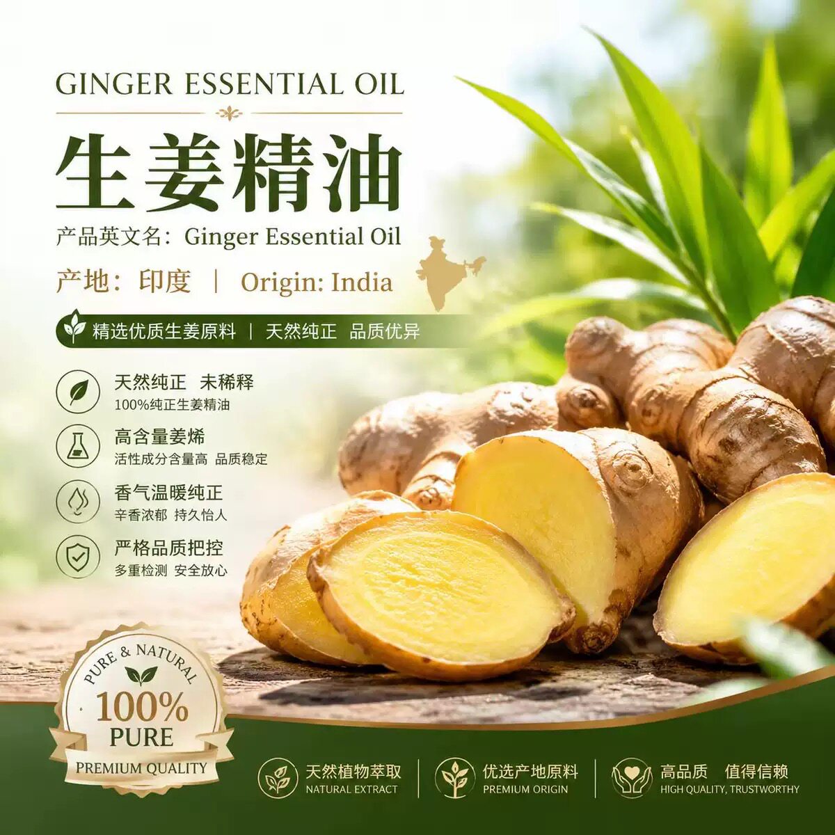 印度生姜单方纯精油全身按摩通经络开背推背刮痧排寒脸部身体舒缓