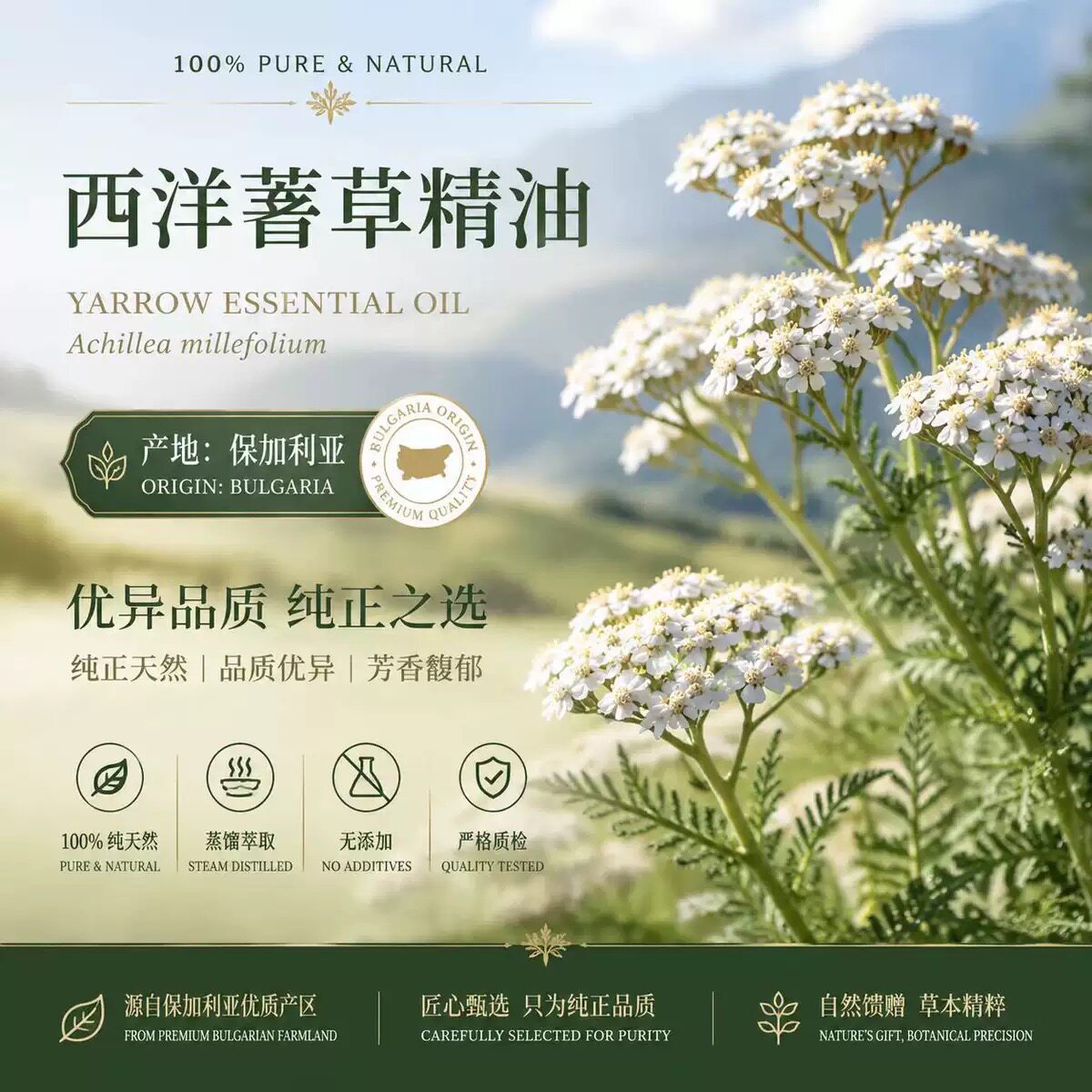 保加利亚西洋蓍草单方精油 强效修复肌肤关节养护舒缓平衡5ML