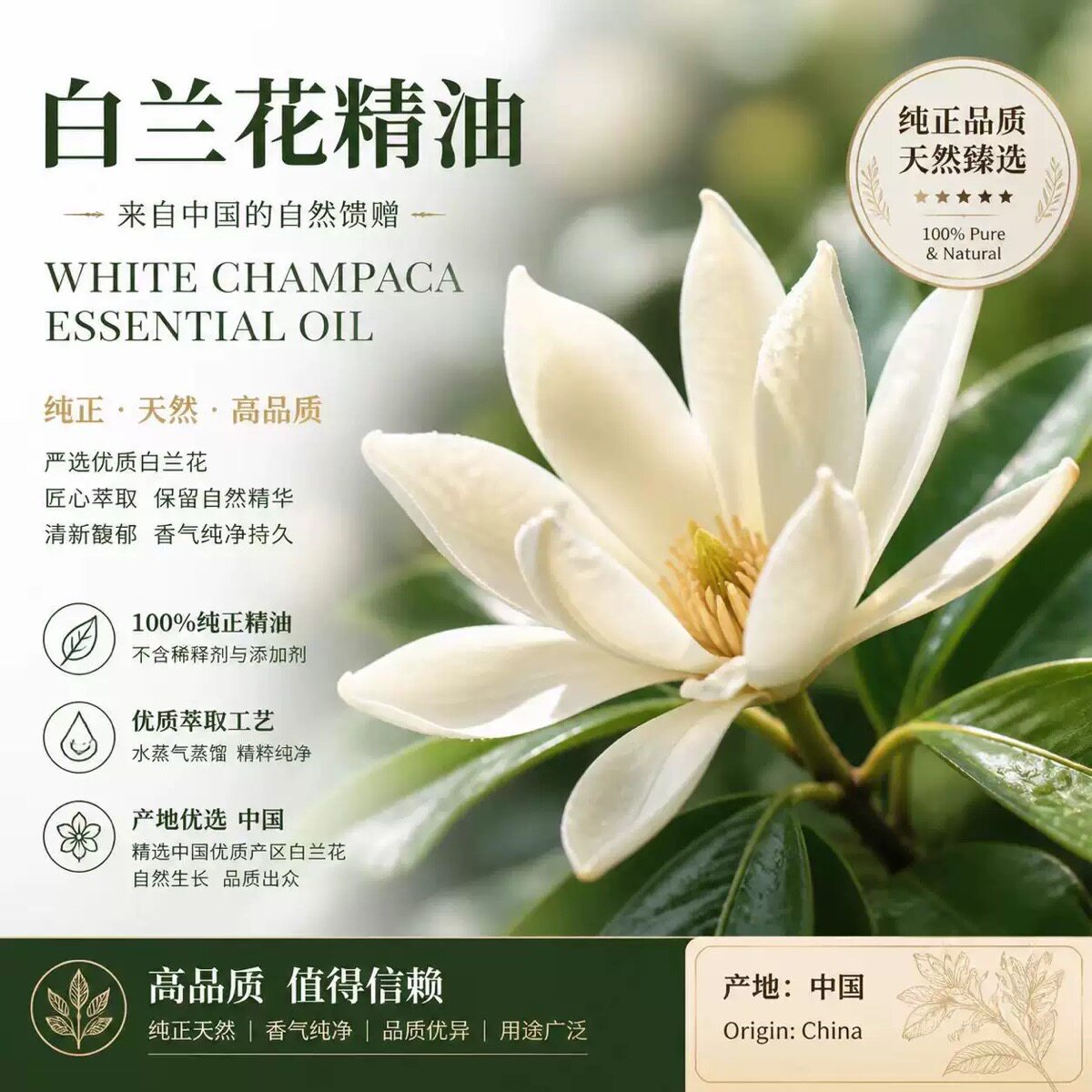 白兰花单方纯精油 高品质浓郁好闻香薰助眠平衡油脂 补水保湿面部