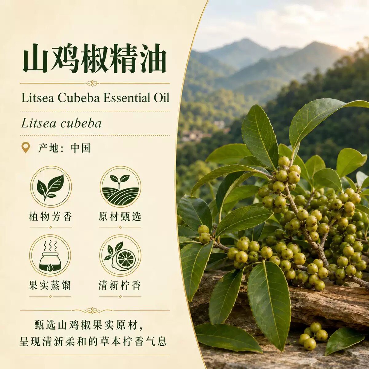 山鸡椒单方纯精油 山苍子油控油净肤收毛孔 按摩护肤原料香薰提振