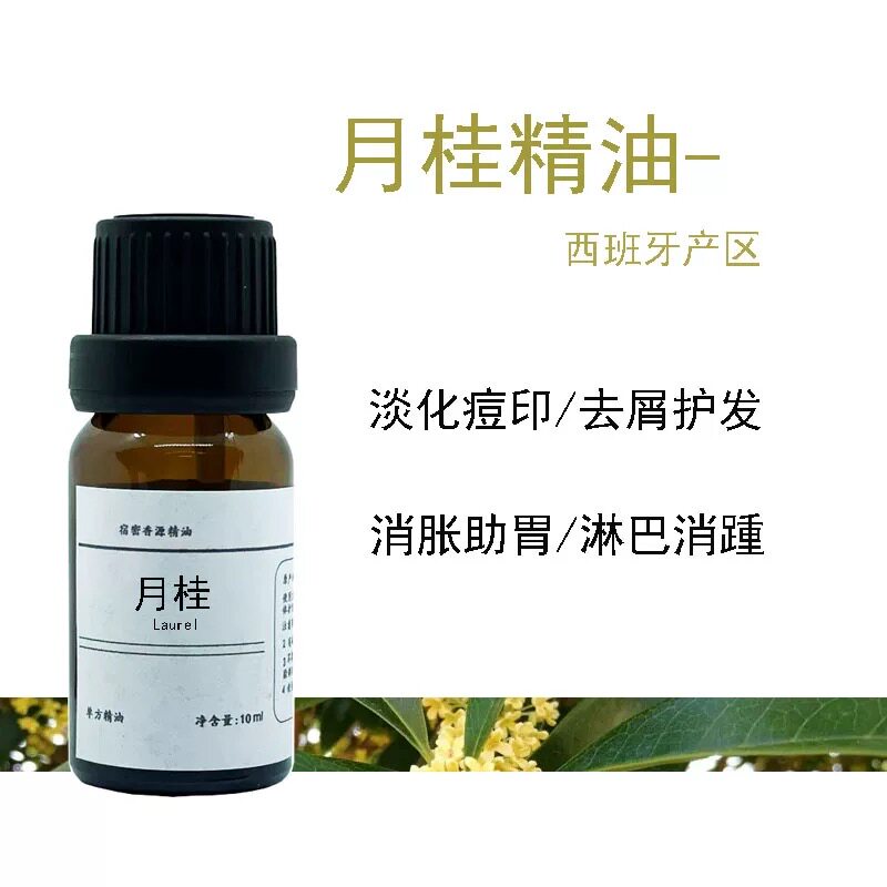 西班牙产区 月桂叶单方纯精油 净化肌肤去头屑 关节护理身体按摩