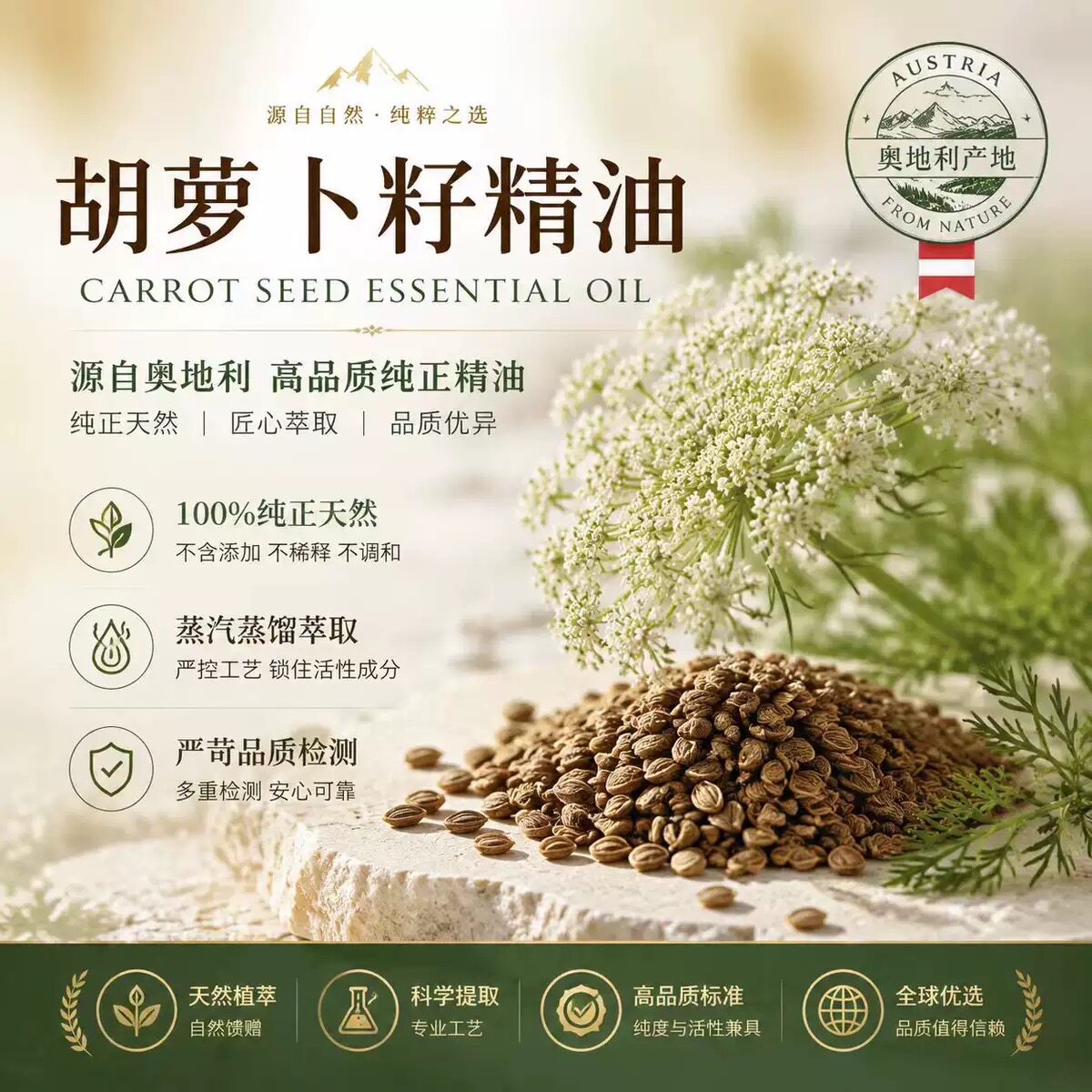 超临界法国胡萝卜籽测试推荐精油