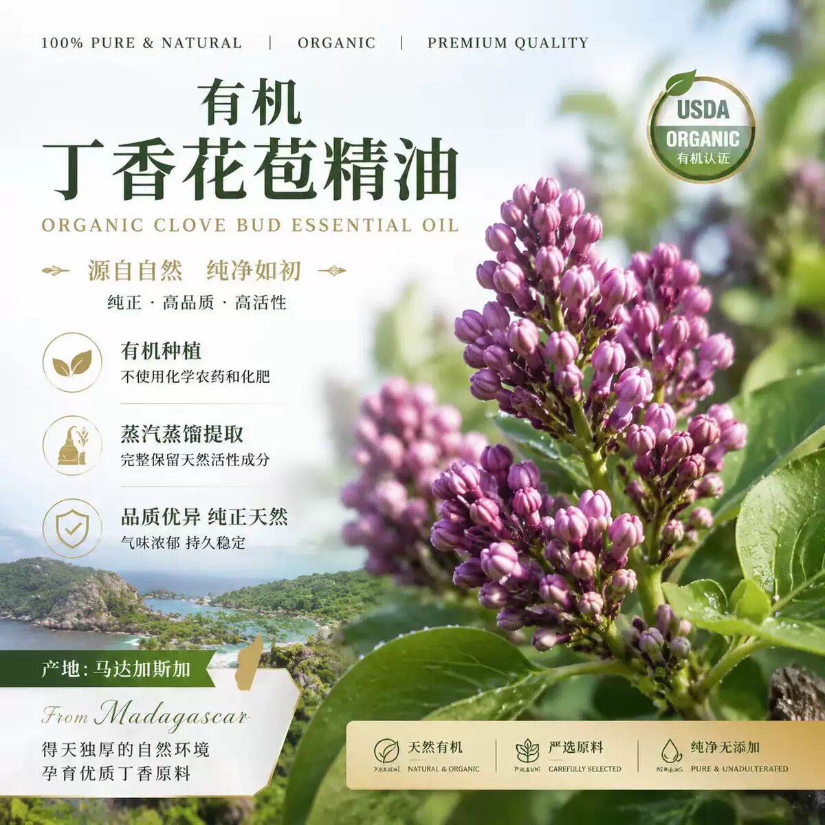 丁香花苞单方纯精油 舒缓修护 驱寒暖身 提神醒脑 提升专注力驱蚊