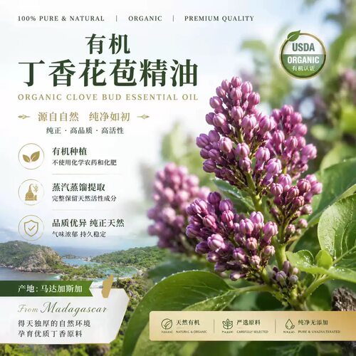 丁香花苞单方纯精油 舒缓修护 驱寒暖身 提神醒脑 提升专注力驱蚊
