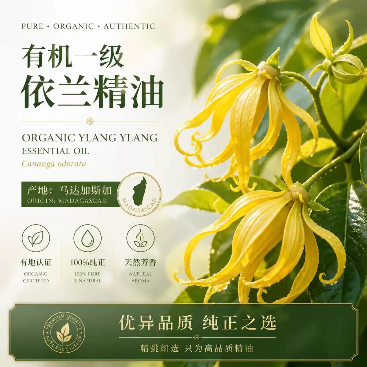 马达加斯加完全依兰单方精油滋养女性魅力开启感官舒缓焦虑调情趣