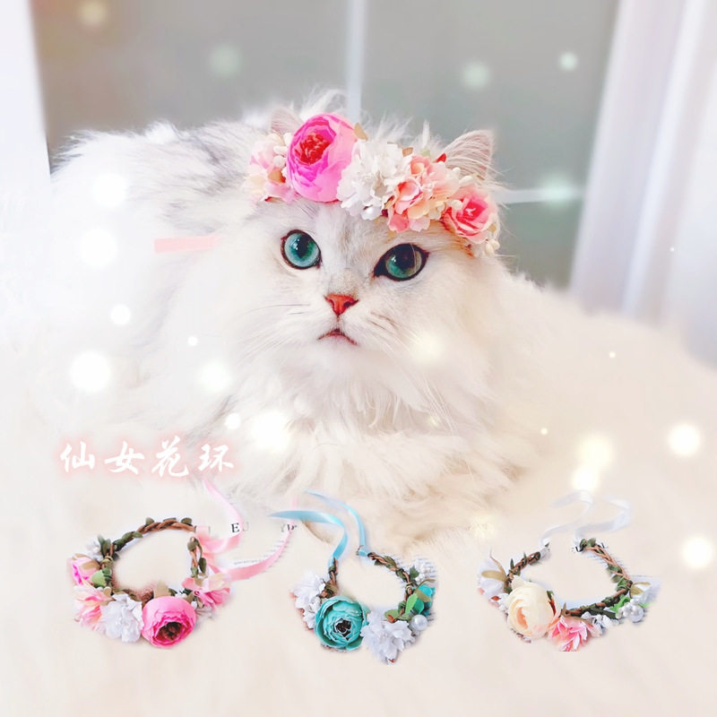 新款猫咪花朵项圈宠物项链小狗可爱脖圈仙女花环兔子猫铃铛饰品