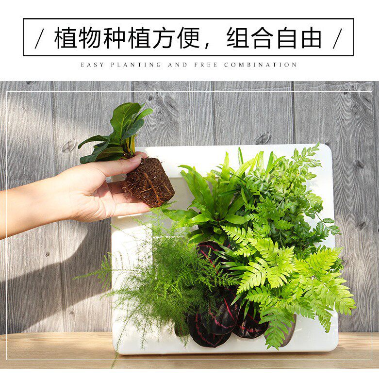 欧林泽懒人花盆创意相框北欧风格厂家现货嵌入式壁挂花盆
