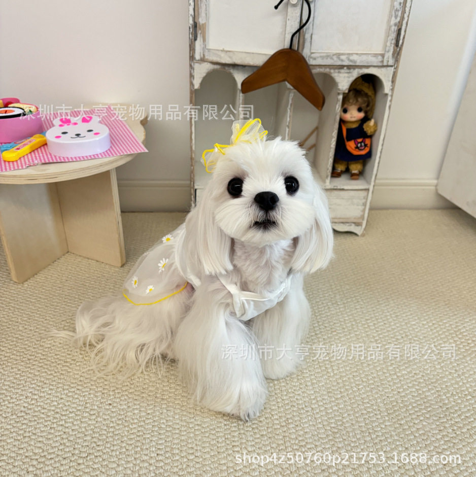 亚马逊新款热销草莓雏菊纱裙爆款狗狗衣服公主风宠物裙子跨境