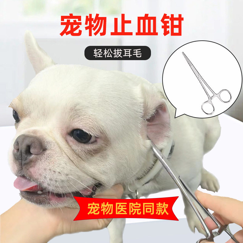 宠物拔耳毛钳拔耳毛粉猫咪狗狗耳毛夹泰迪比熊耳朵耳道清洁止血钳
