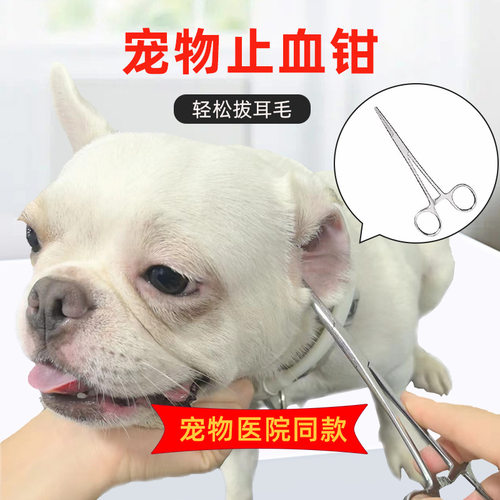 宠物拔耳毛钳拔耳毛粉猫咪狗狗耳毛夹泰迪比熊耳朵耳道清洁止血钳