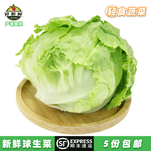 新鲜球生菜新鲜蔬菜轻食沙拉配菜