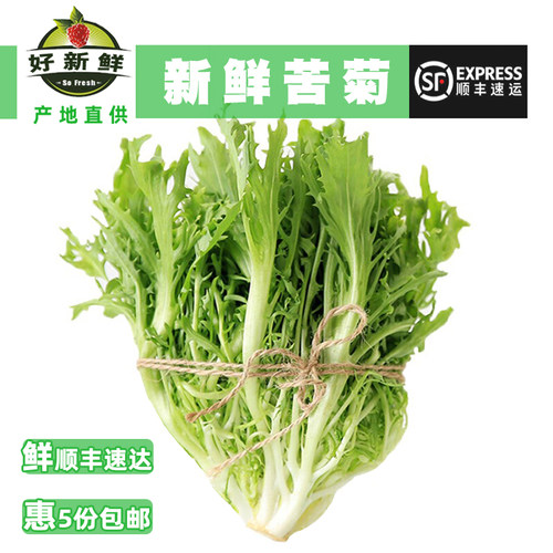 好新鲜蔬菜苦菊健身沙拉即食生菜