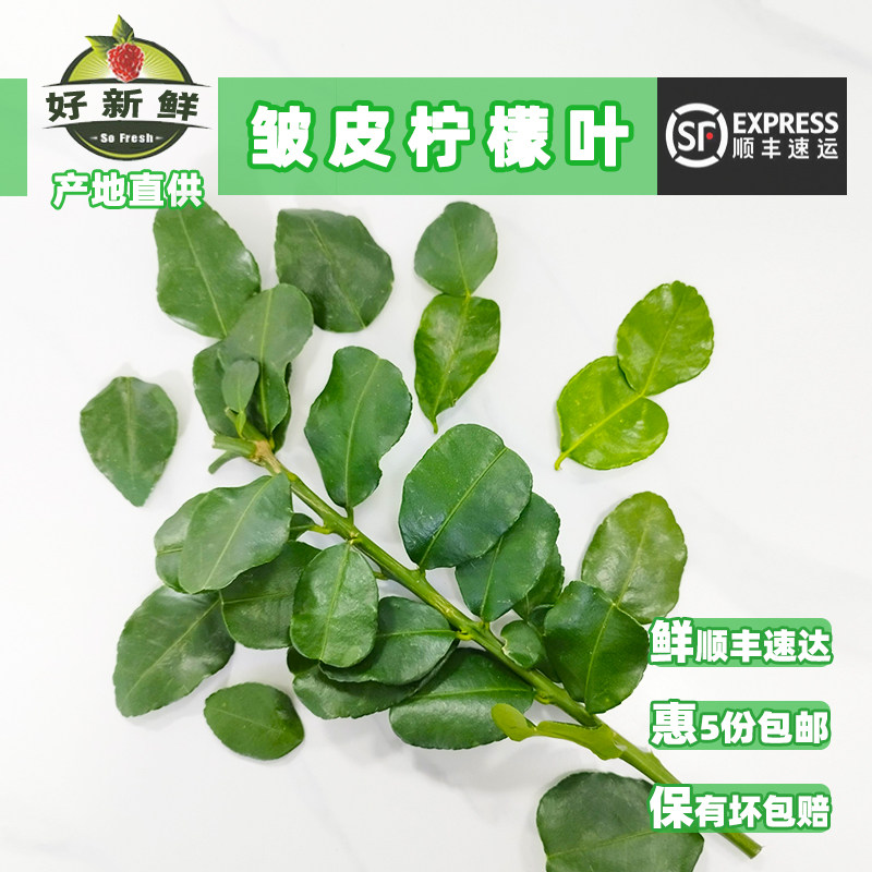 好新鲜皱皮粗皮柠檬叶泰式冬阴功丑菊叶生腌料鱼生料佐料配料顺丰,水产肉类/新鲜蔬果/熟食,其它,淘宝优惠券,粉丝福利购,淘宝优惠卷