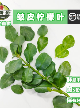 新鲜皱皮柠檬叶泰式冬阴功汤材料