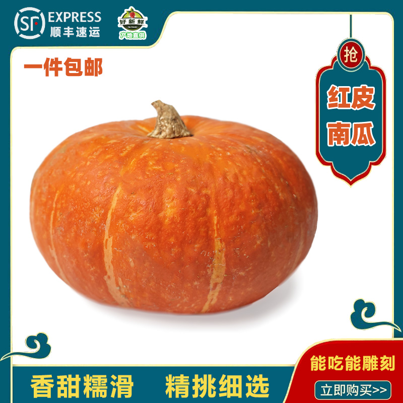 新鲜红皮南瓜雕刻金瓜摆设装饰宝宝辅食蔬菜倭瓜万圣节南瓜灯包邮