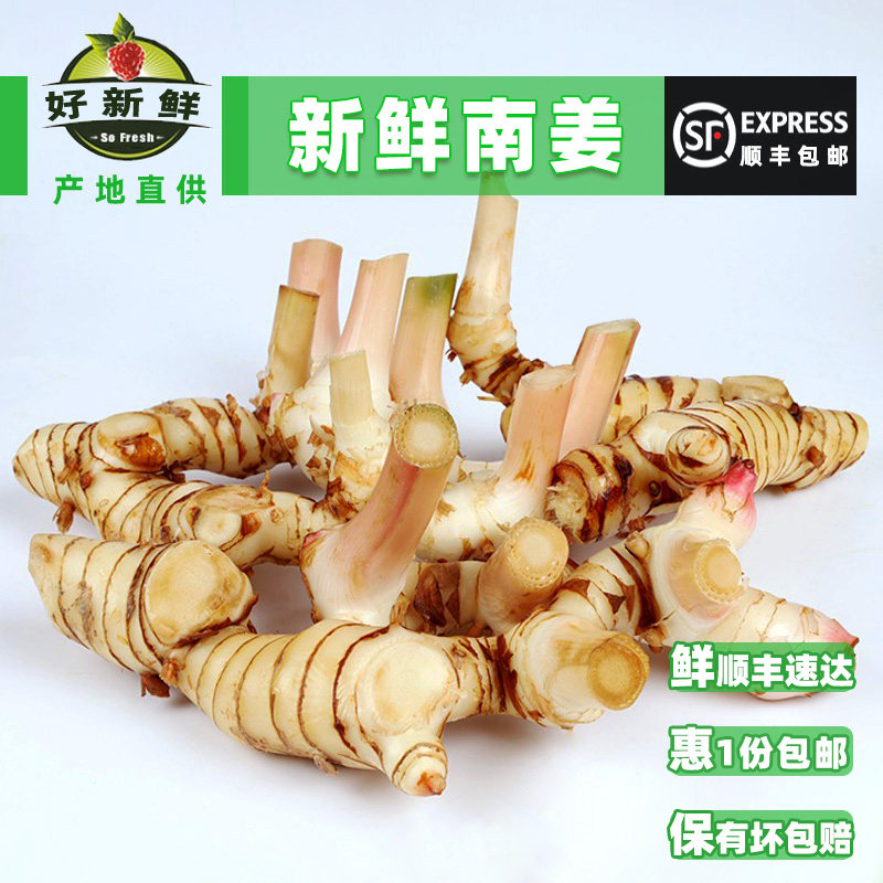 新鲜白皮南姜山姜泰式冬阴功汤料火锅店调香料高良姜顺丰一份包邮