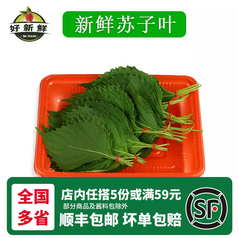 新鲜苏子叶农家 菜日式料理绿色蔬菜紫苏菜叶韩国烤肉叶约50片/份,水产肉类/新鲜蔬果/熟食,其它,淘宝优惠券,粉丝福利购,淘宝优惠卷