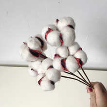 棉花干花 ins花束DIY花材家居摆设装饰拍摄道具永生干花 棉花花束