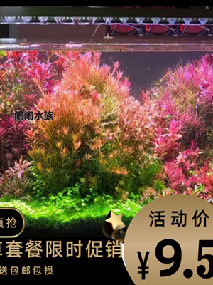 水草植物鱼缸造景新手懒人水草泥